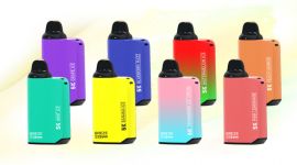 BS Box Pro 5000 Puffs