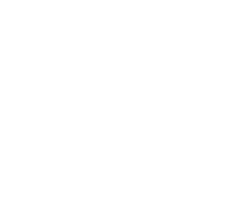 BS logo-1.png
