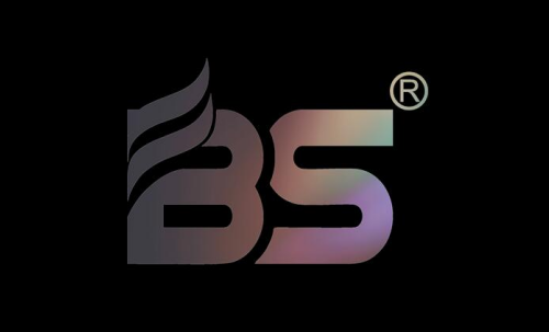 BS VAPE_YOUR RELIABLE PARTNER